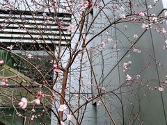 -复兴门(地铁站)