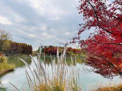 -梁鸿国家湿地公园