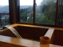 -台北北投丽禧温泉酒店