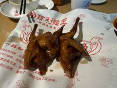 -百利鸽王(紫薇路店)