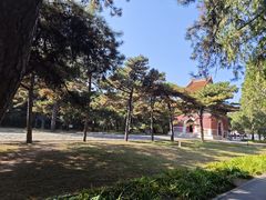 -清东陵