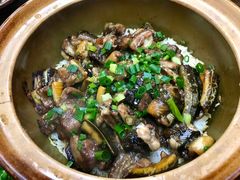 金牌黄鳝饭-红星光发煲仔饭(文海店)