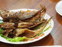 -谢记上海大排档(长寿路店)