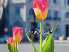 -外滩
