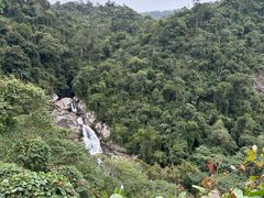 -海南热带雨林国家公园吊罗山景区