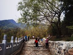 -阳台山自然风景区