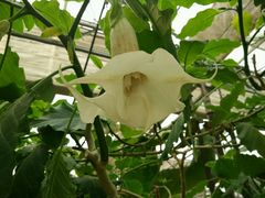 -兰陵国家农业公园