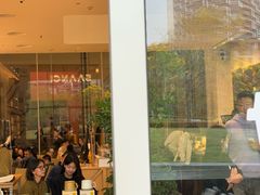 -SAANCI山池咖啡(海上世界文化艺术中心店)