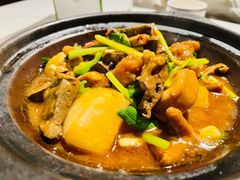 -十六台·经典广东菜(德外大街店)