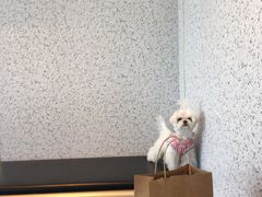 -喜茶(南京仙林金鹰店)