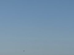 -碧海金沙