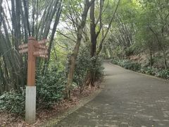 -滴水岩森林公园