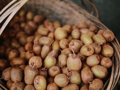 -武陵山森林公园