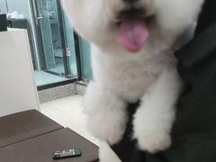 -宠物家(角门东店)