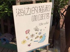 -海边的猫和咖啡馆