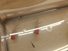 -御海8号温泉酒店