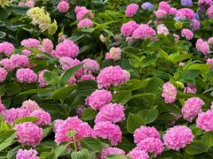 -常州古运河南大街文化旅游区-人民公园