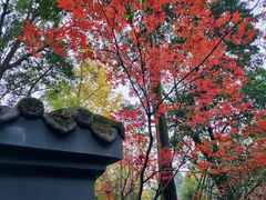 -成都杜甫草堂博物馆
