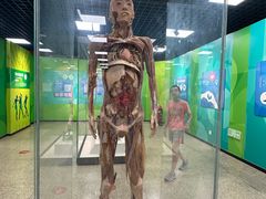 -国家自然博物馆