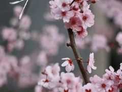 -静安雕塑公园