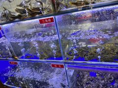 -石锅苗苗鱼(武汉首店)