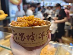 -周小亮丁家坡洋芋(全国总店)