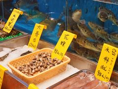 水产区-飞尝蚝·顺德菜·鱼生(顺德总店)
