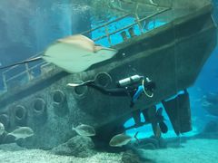 -福州罗源湾海洋世界旅游区