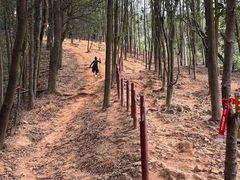 -火炉山森林公园