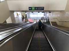 -园博园(地铁站)