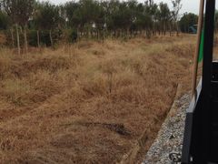 -武汉紫薇都市田园