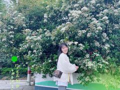 -宁波天华捷豹路虎4S店