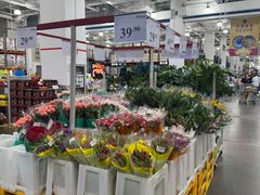 -山姆会员商店(亦庄创意生活广场店)