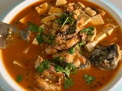 -煲来饱去冷水鱼