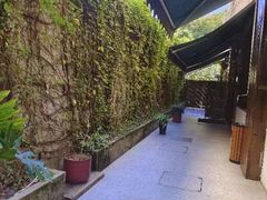 -一棵树·意大利西餐厅One Tree(新城店)