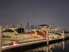-苏州金鸡湖中茵皇冠假日酒店