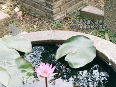 -南海神庙