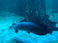 -华夏文旅海洋公园