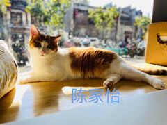 -W Coffee(船板巷店)
