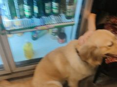 -炮爷东北铁锅炖(棠安路店)