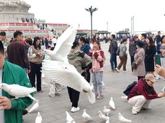 -天津妈祖文化园