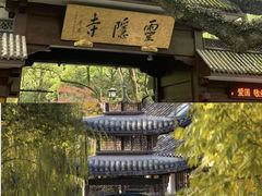 -运河游船(武林门码头)