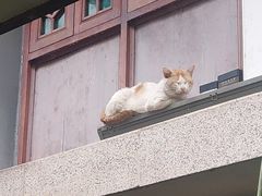 -荔湾湖公园