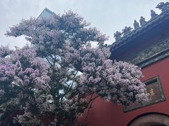 -古大圣慈寺