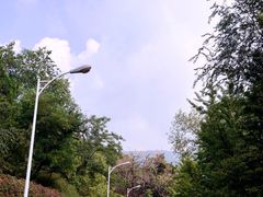 -大鹅岛灶台鱼·铁锅炖(水库路店)