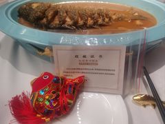 -阿五黄河大鲤鱼(英协路店)