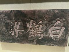 -白鹤梁水下博物馆