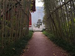 -鹅火锅(翡翠路店)