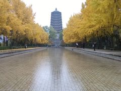 -玲珑塔公园