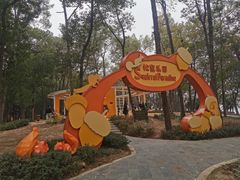 -东湖落雁景区